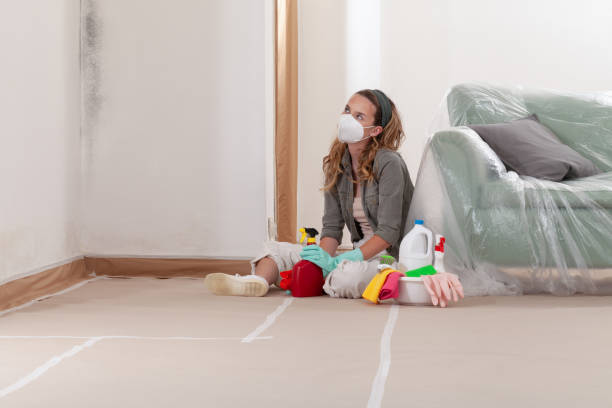 Reliable Mold Remediation contractor in Marriottsville, MD by Cheap Mold Removal